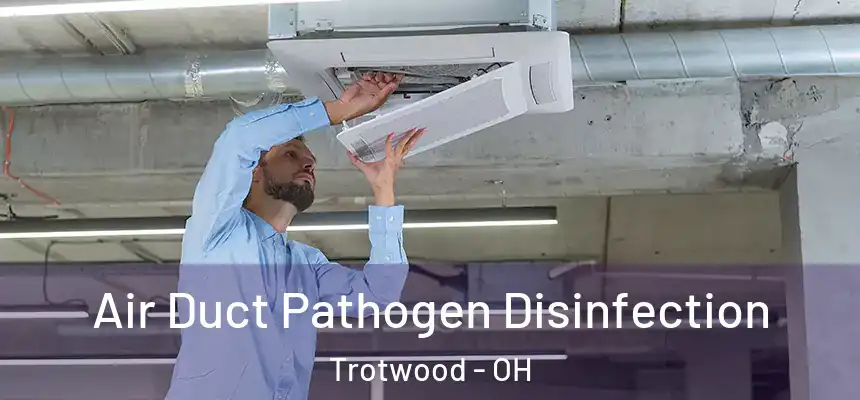  Air Duct Pathogen Disinfection Trotwood - OH