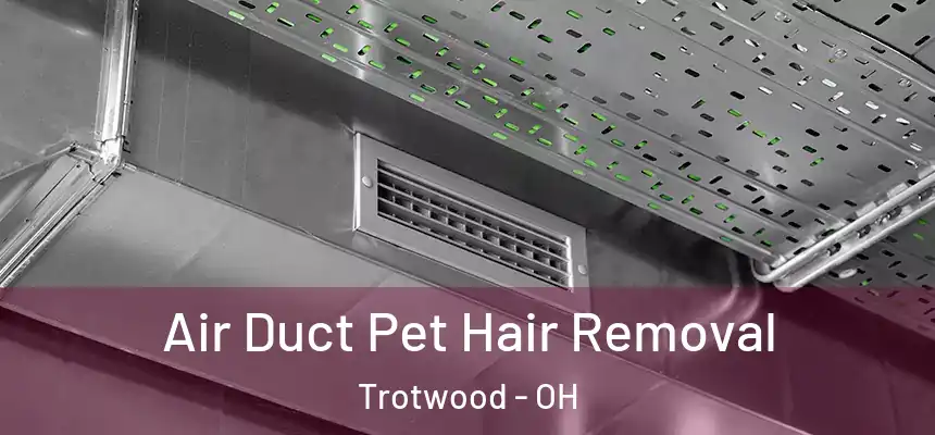 Air Duct Pet Hair Removal Trotwood - OH