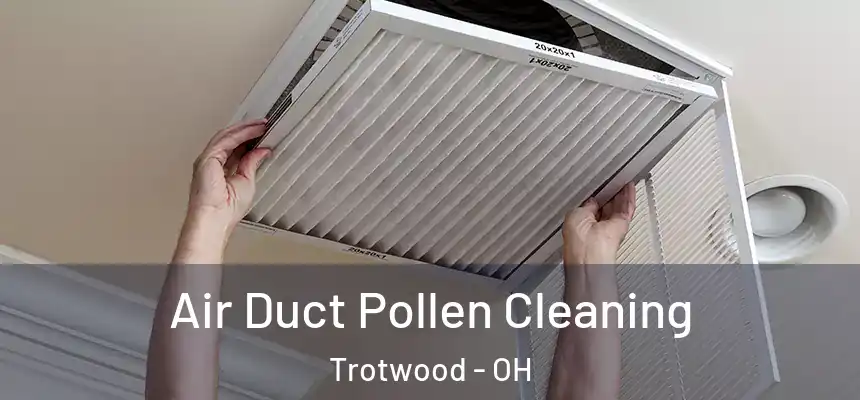 Air Duct Pollen Cleaning Trotwood - OH