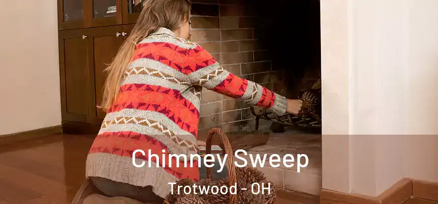 Chimney Sweep Trotwood - OH