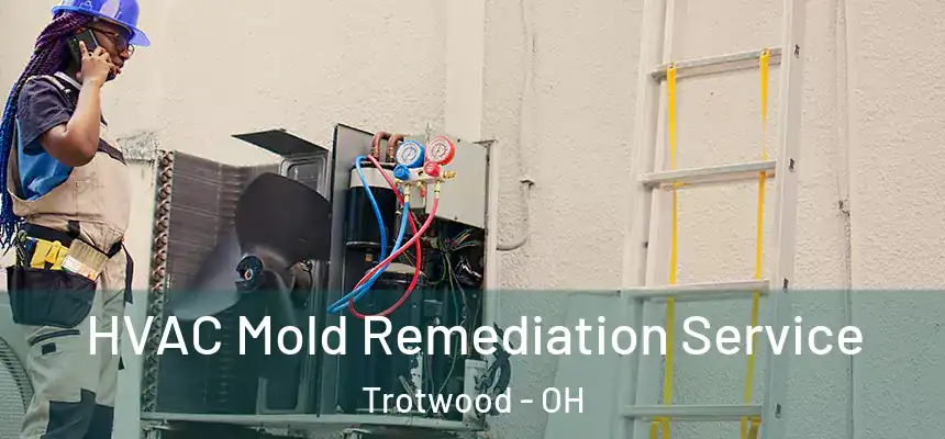 HVAC Mold Remediation Service Trotwood - OH