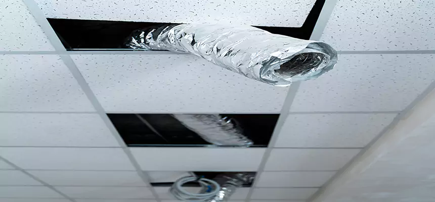 Our Air Duct Pet Hair Removal Services in Trotwood, OH