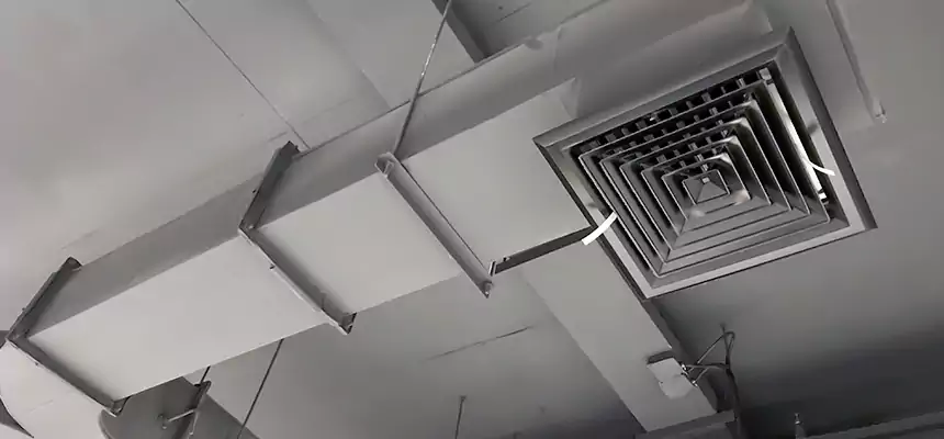 Restorative Allergy Relief Vent Cleaning – Coil, Blower & Housing Detail in Trotwood