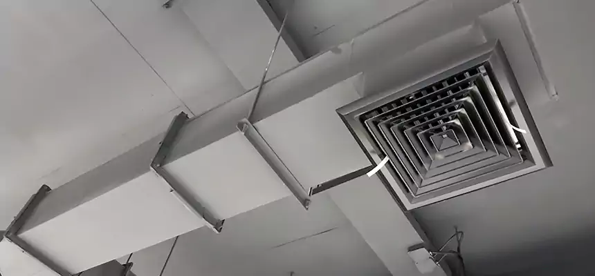 Our Rodent Droppings In Vents Services in Trotwood, OH