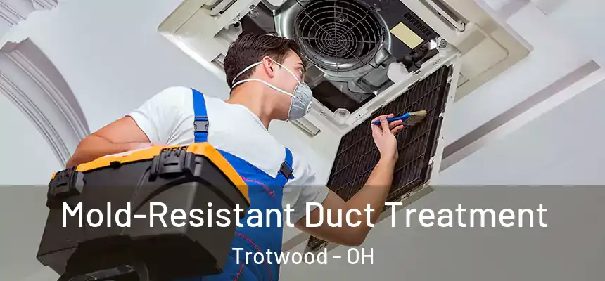  Mold-Resistant Duct Treatment Trotwood - OH