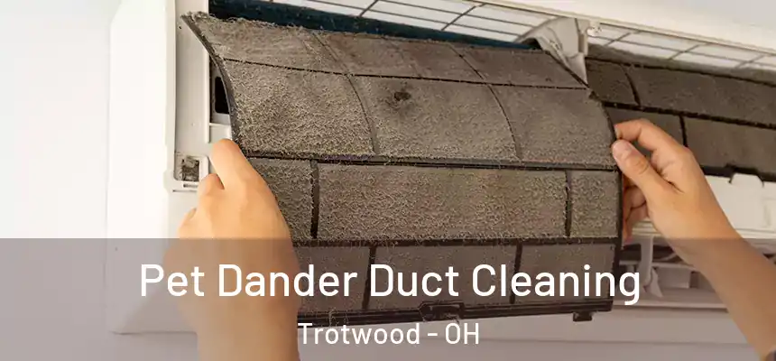  Pet Dander Duct Cleaning Trotwood - OH
