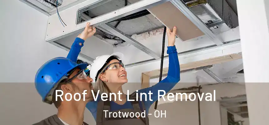 Roof Vent Lint Removal Trotwood - OH