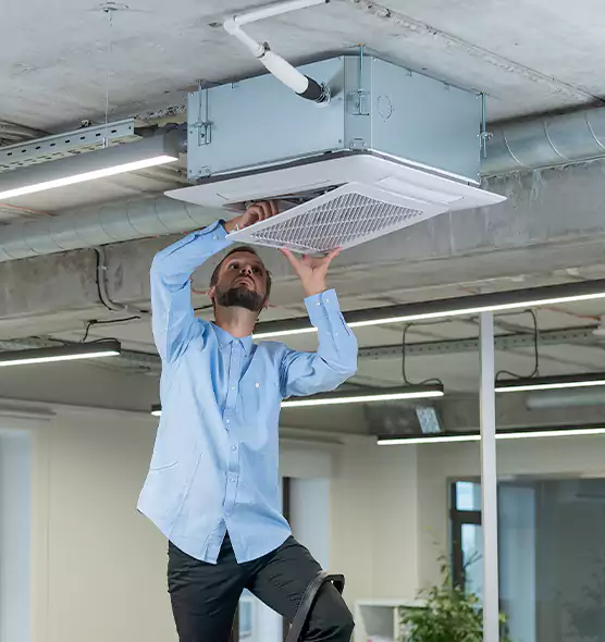 Advanced Rodent Droppings In Vents in Trotwood, OH